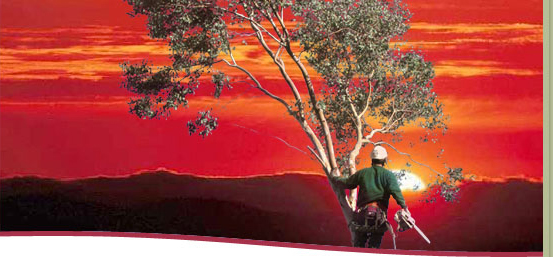 Top View Tree Service, Inc.